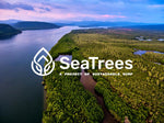 Plant Mangrove Trees through SeaTrees, our partner in ecological restoration.